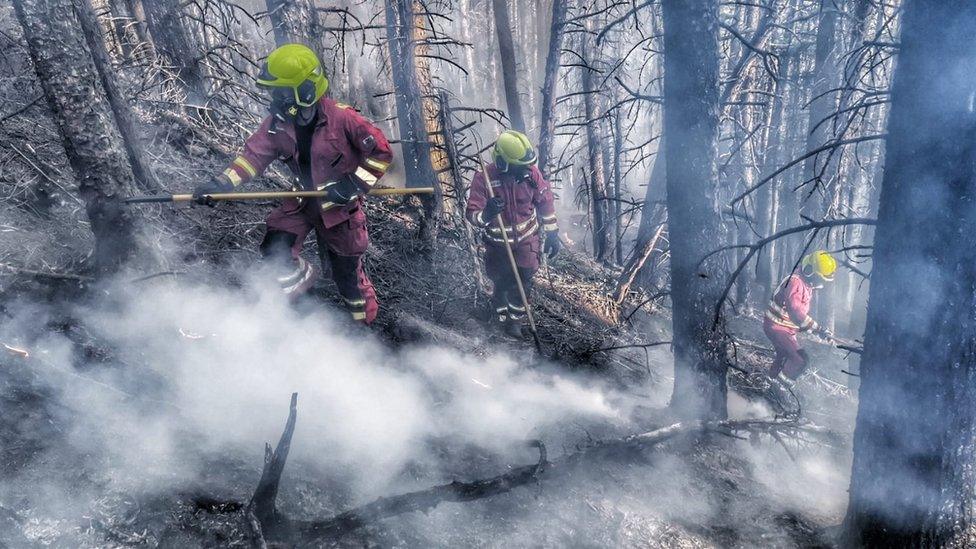 Firefighters dampen down a grass fire near Aberbargoed