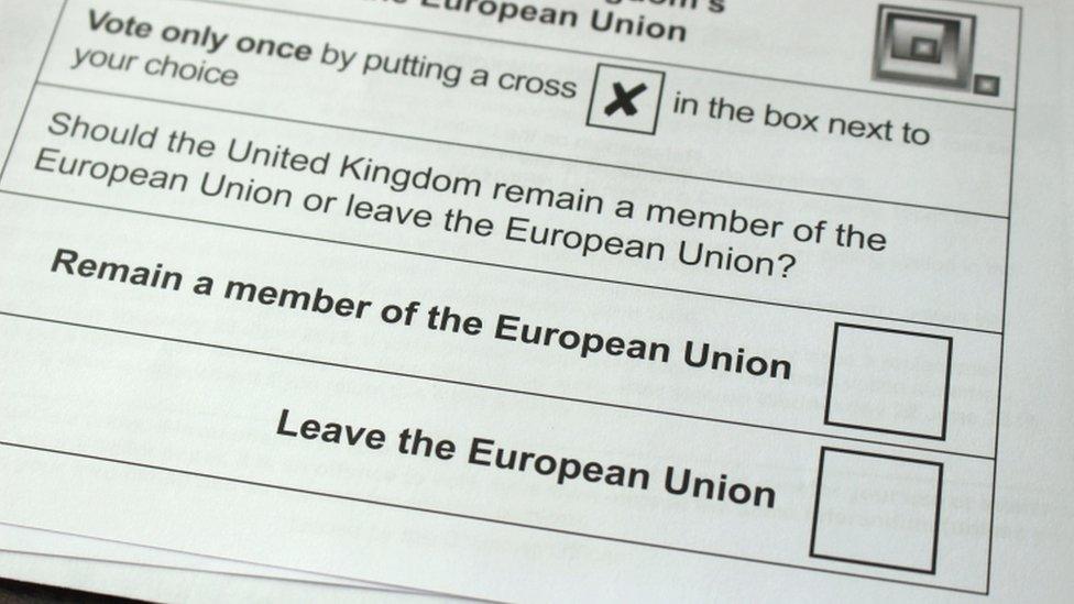 EU referendum ballot paper