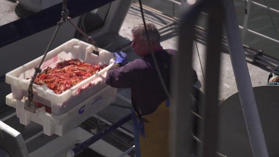 A fisherman unloading prawns