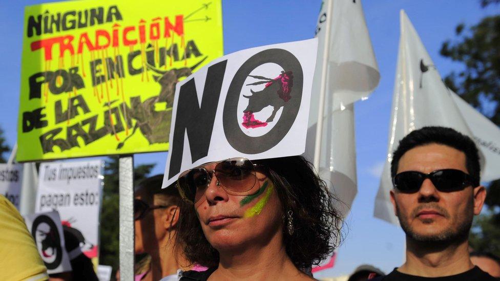 A woman with a placard meaning "No bullfight" on her forehead take part with thousands of people in a demonstration against bullfighting in Spain, in Madrid