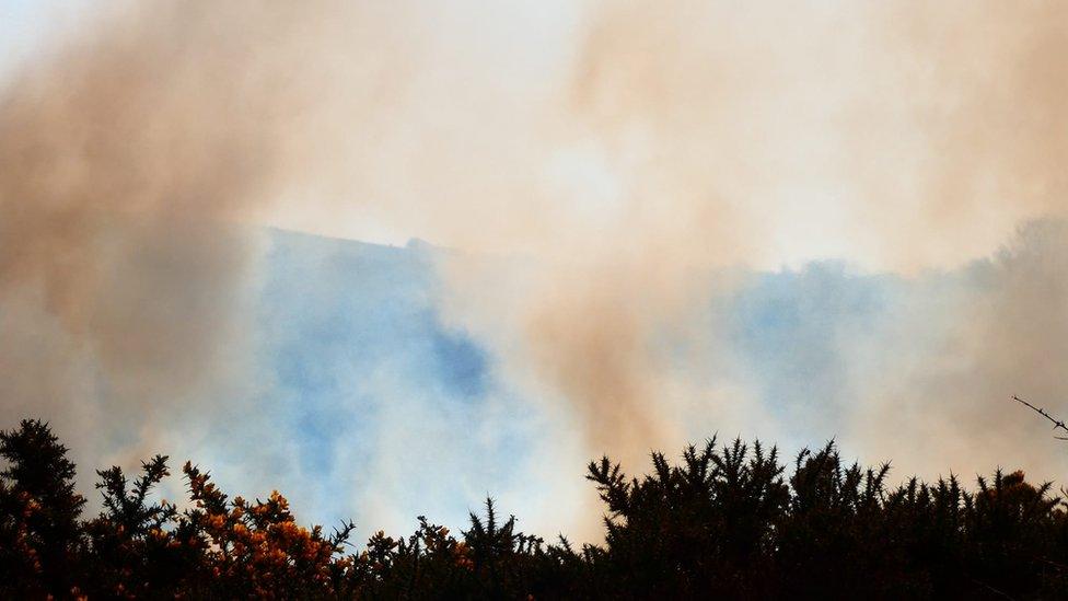 Gorse fire on Dartmoor