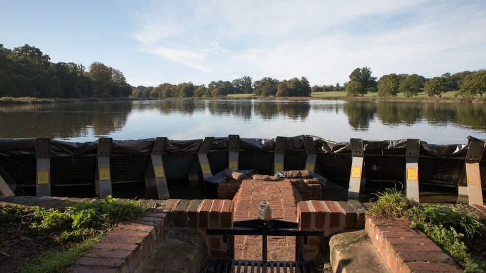 The cofferdam at Blickling Hall's ornamental lake