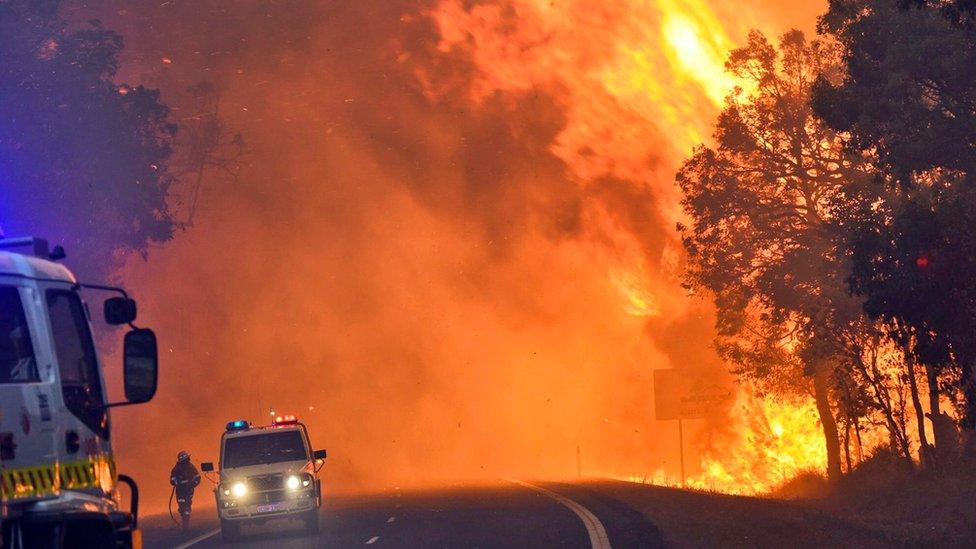 Handout photo shows the Waroona fire burning near Yarloop