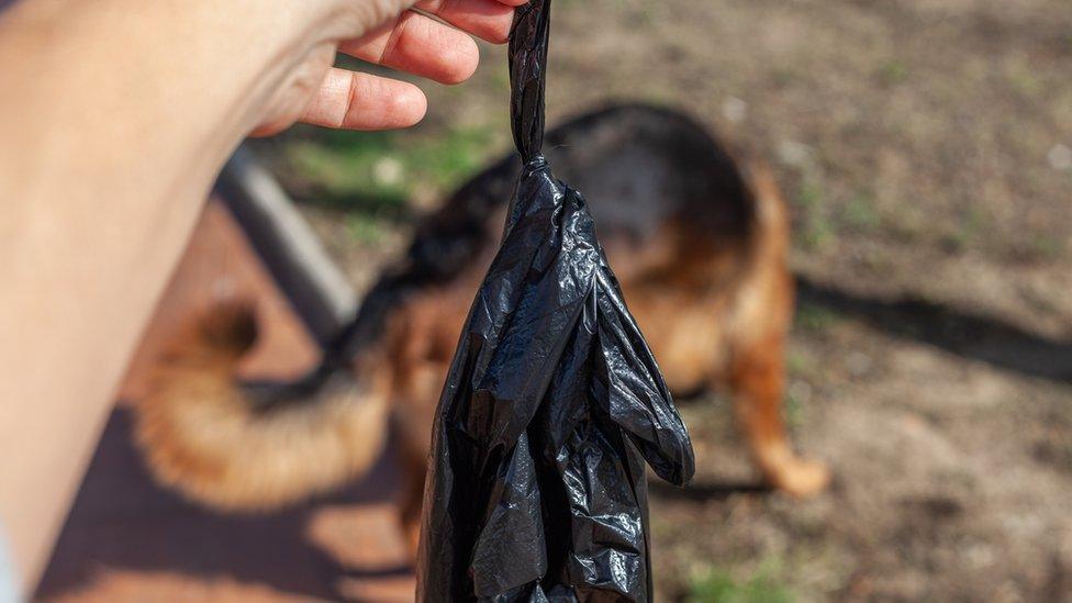 dog mess bag