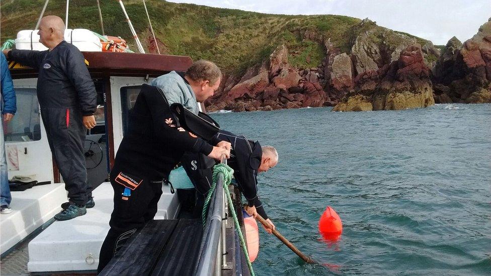 Divers surfaces with marine litter