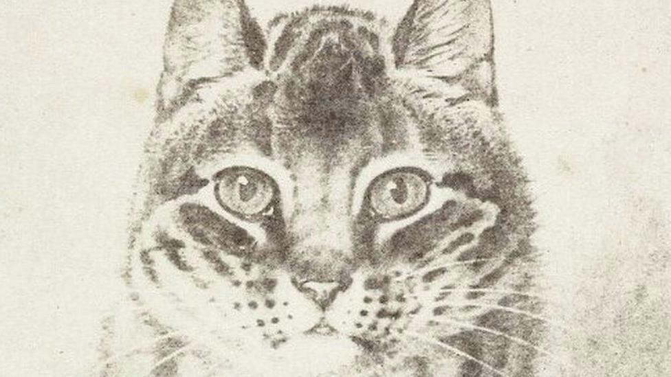 A cat image by William Henry Fox Talbot,