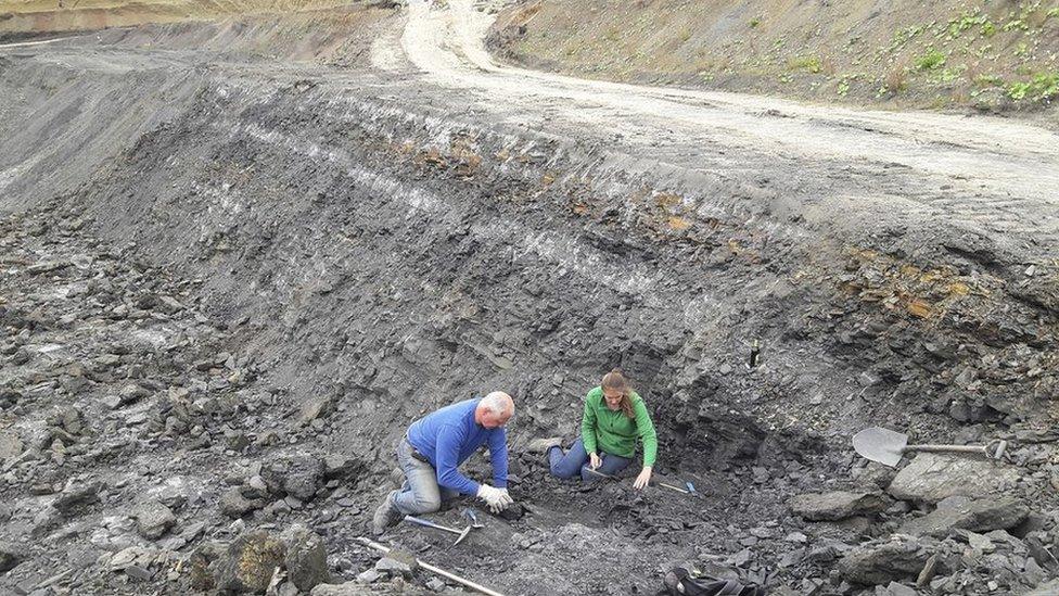 Claypit in Germany