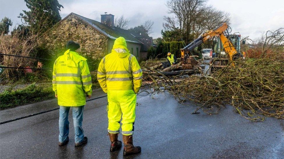 Workers in County Cork try to clear a fallen tree from a road