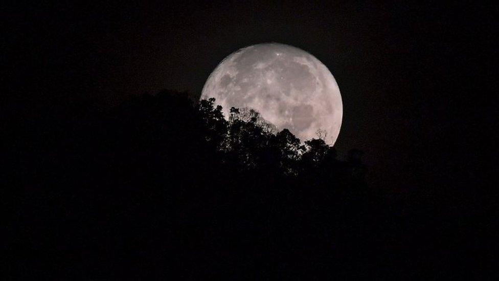 The Moon sets behind trees. File photo