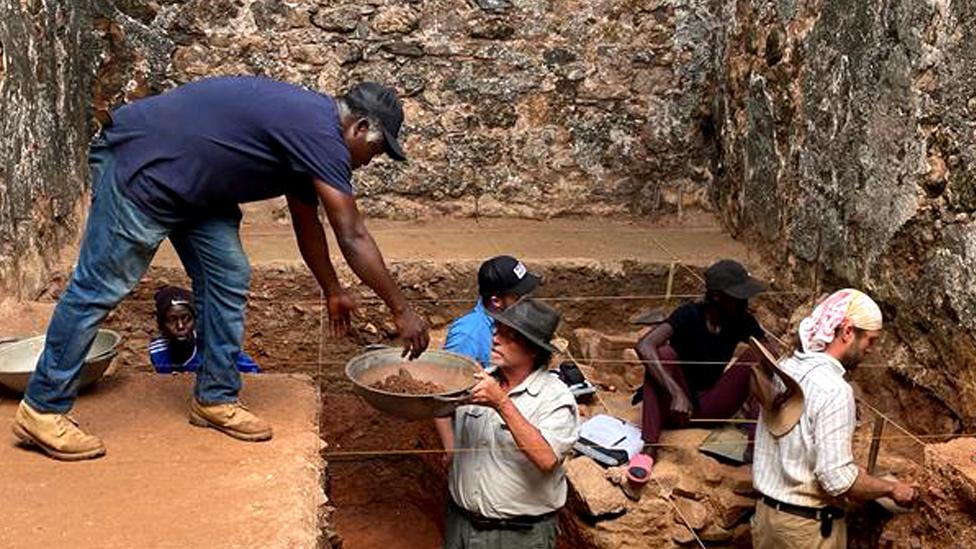 Activity at the dig site