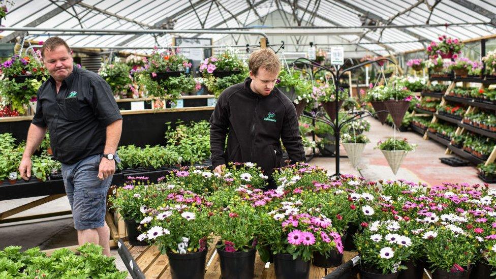 Two garden centre workers