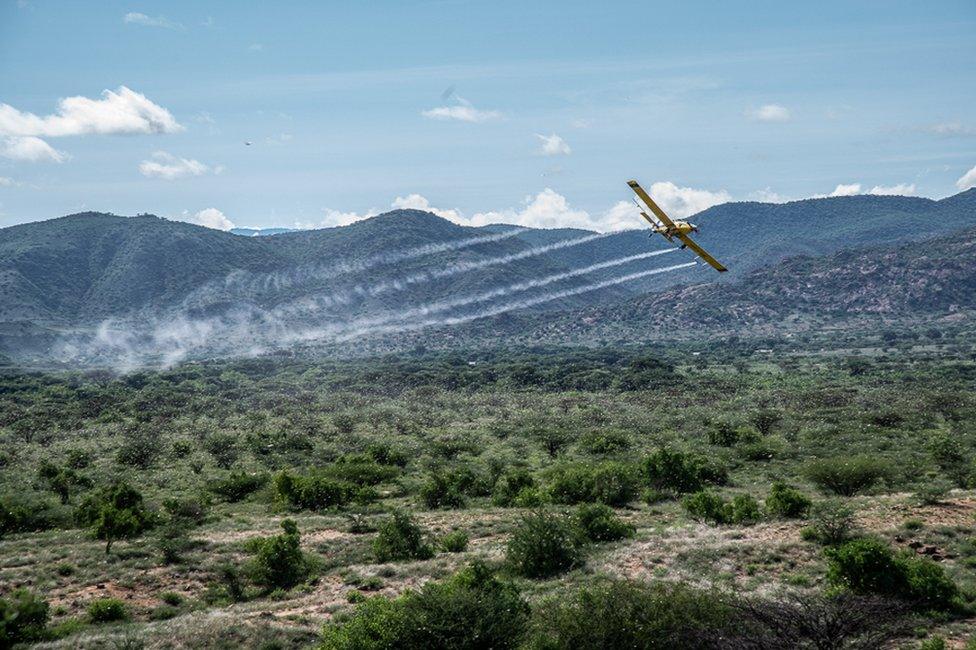 A low-flying plane sprays pesticide