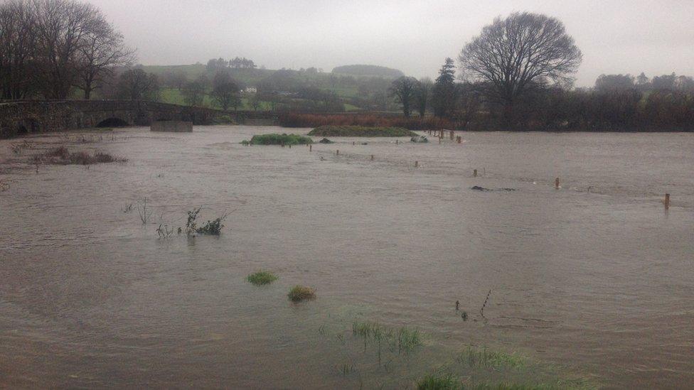 A flooded field