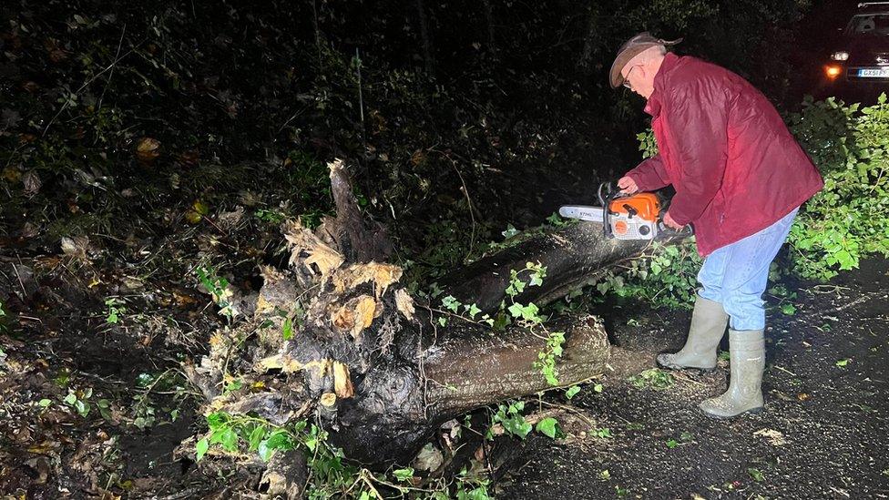 Man with saw cutting up tree on road