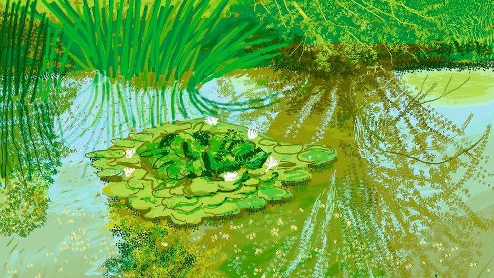 David Hockney's Waterlilies