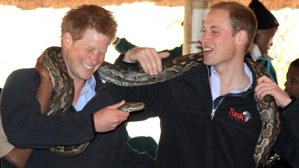 Prince Harry and Prince William holding an African rock python during a visit to Mokolodi Education Centre on June 15, 2010 in Gaborone, Botswana.