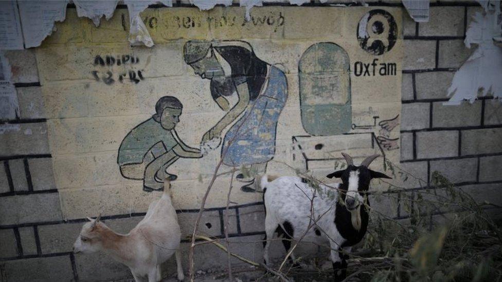 Goats in front of an Oxfam sign in Haiti