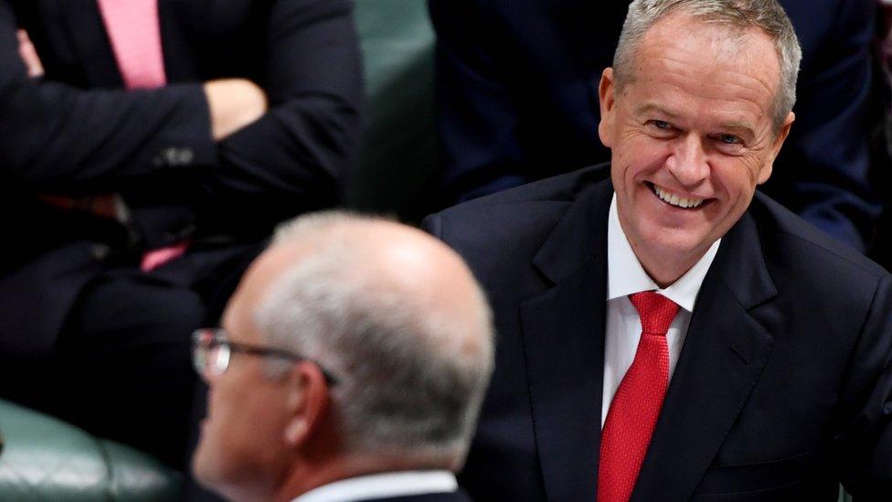 Bill Shorten grins across the table at Scott Morrison in parliament