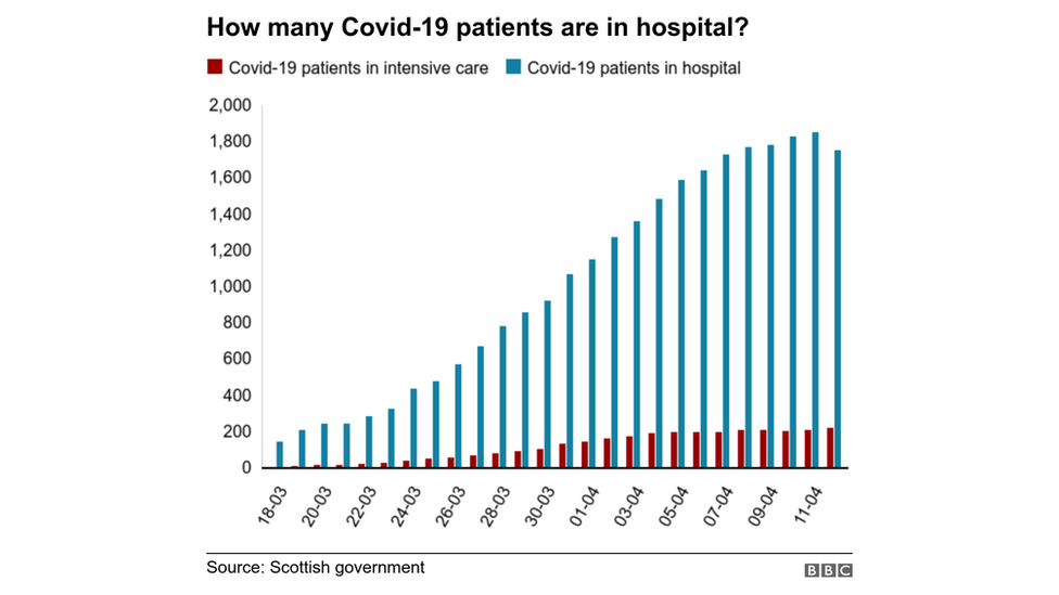 hospital numbers