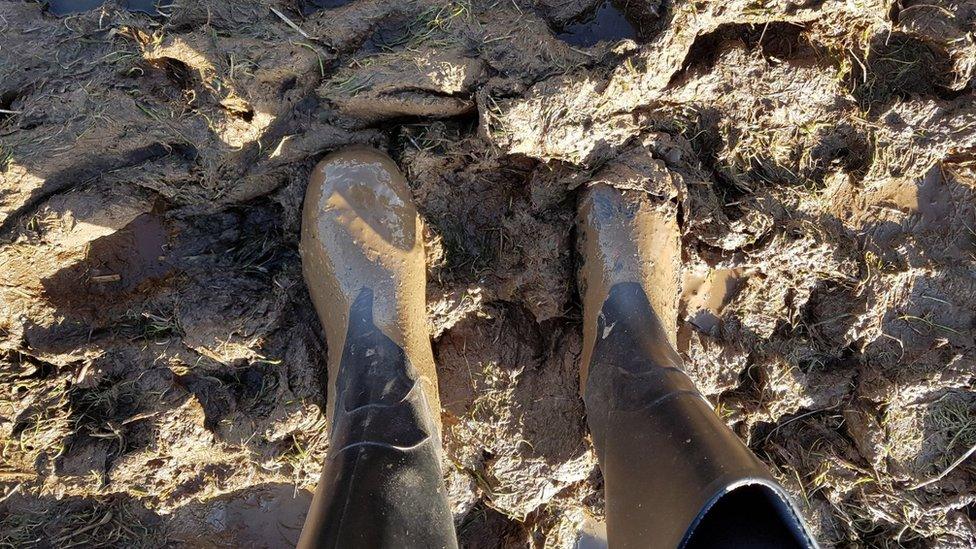 Wellies in the mud