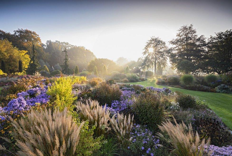 A sunlit view of a colourful garden