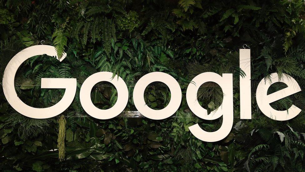 White version of the Google logo among plants