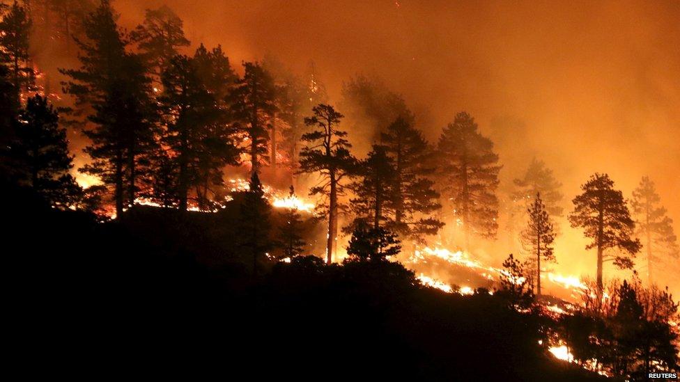 A helicopter drops water on a forest fire in Los Angeles