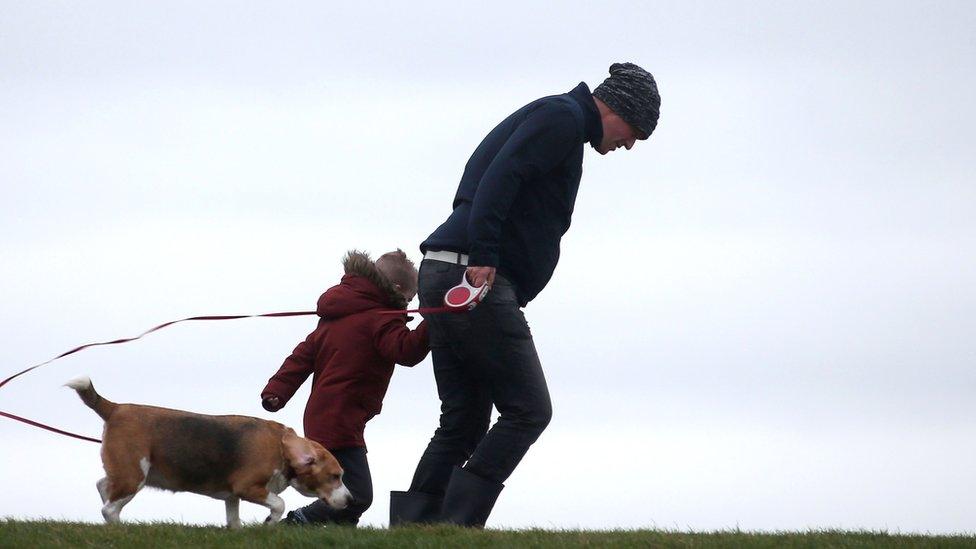 A man walks with a child and a dog on a dike against strong wind