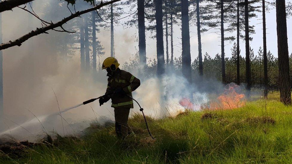 Fire fighter at Wareham Forest