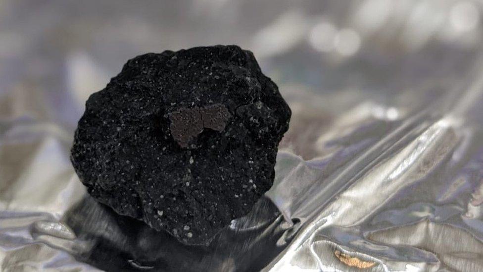 A chunk of the meteorite that has been recovered from Winchcombe