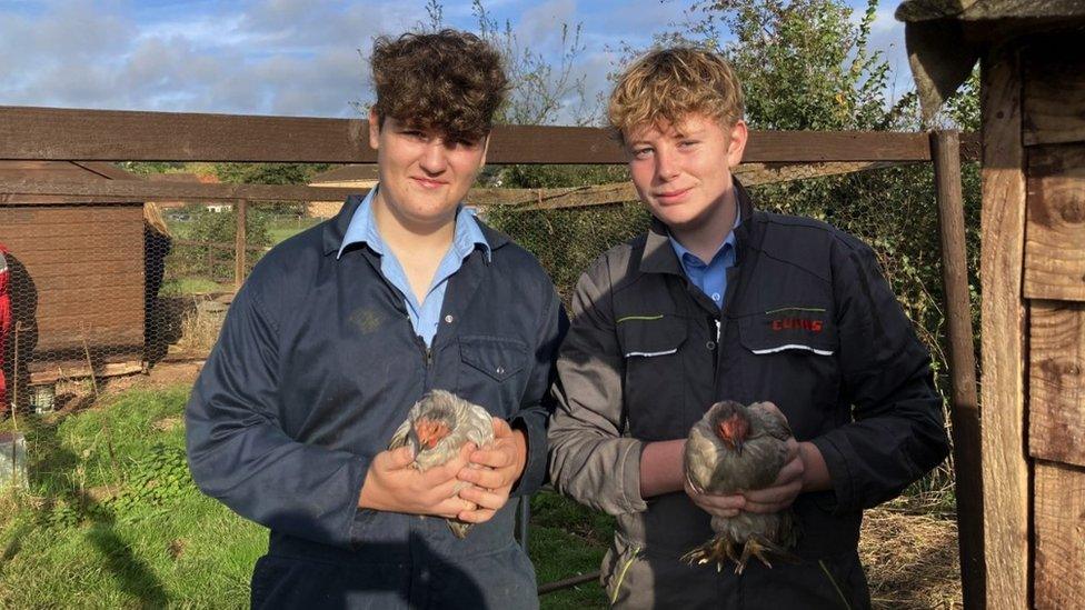 Two male school students. The boy on the left has dark hair, a blue shirt and navy blue overalls on. The boy on the left is blonde and wearing a blue shirt and black overalls. Both of them are holding chickens.