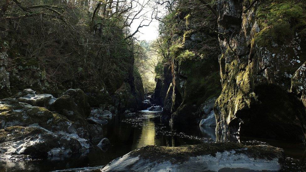 Fairy Glen