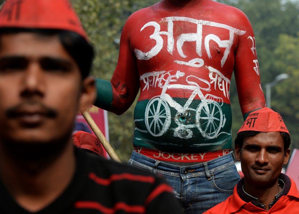 A supporter, his body painted in the Samajwadi Party colours and logo, looks on during a bicycle rally attended by India's Uttar Pradesh state Chief Minister Akhilesh Yadav in New Delhi on February 23, 2014.