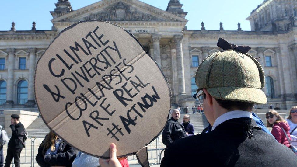 Climate Change Protesters