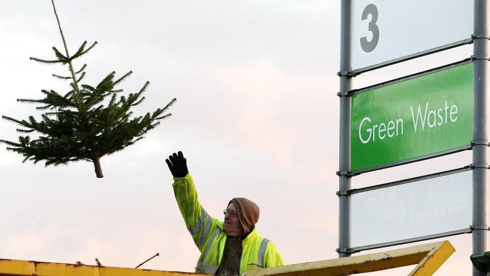 man throws christmas tree into waste