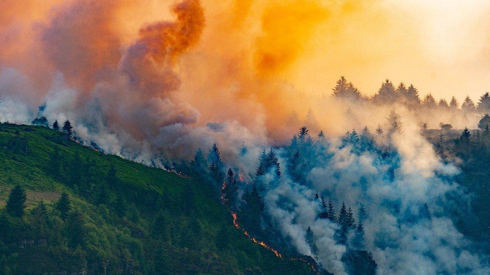 blaze at Rhigos Mountain