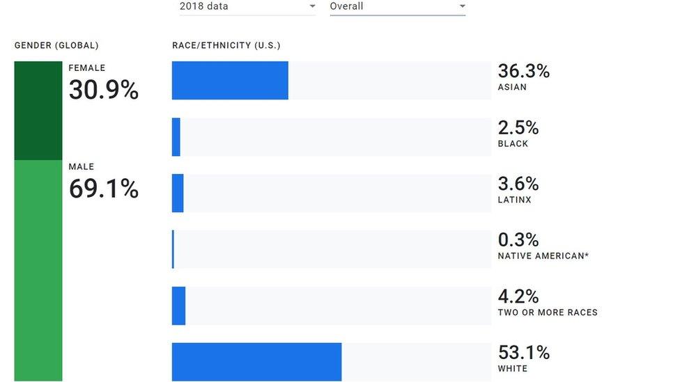 Google diversity graph