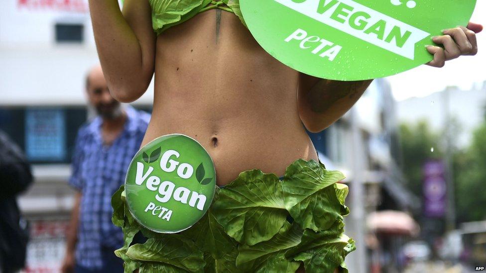 Go Vegan outfit