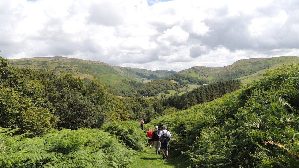 Richard Wyn Williams took this picture while on a walking weekend with friends in the Tarren Hills, Snowdonia, Gwynedd.