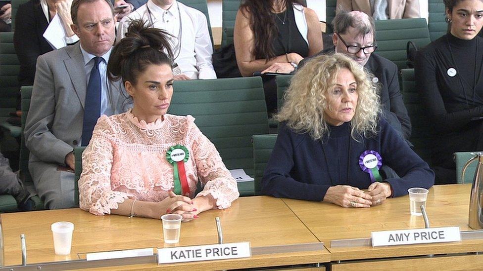 Katie Price and her mother Amy give evidence to MPs