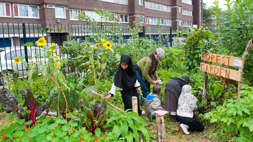 Children at a community garden in Deptford