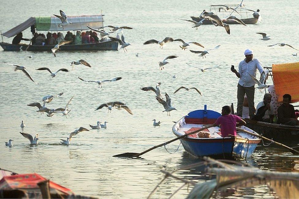 Indian Hindu pilgrims enjoy a boat ride as sea gulls fly at Sangam in Allahabad on October 29, 2018.