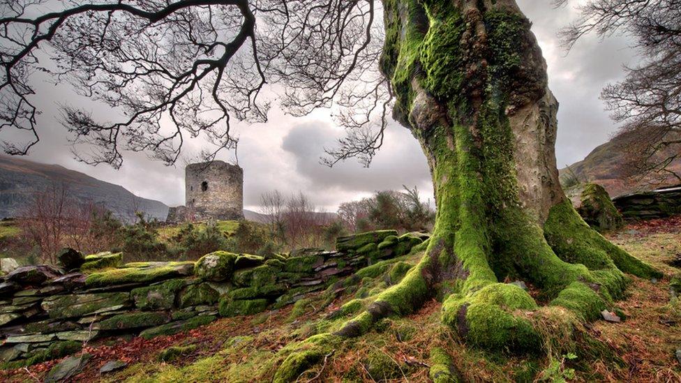 Dolbadarn Castle