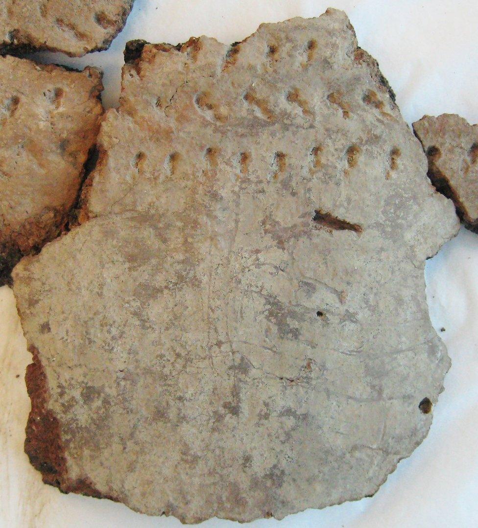 Sherd of pottery with badger claw marks