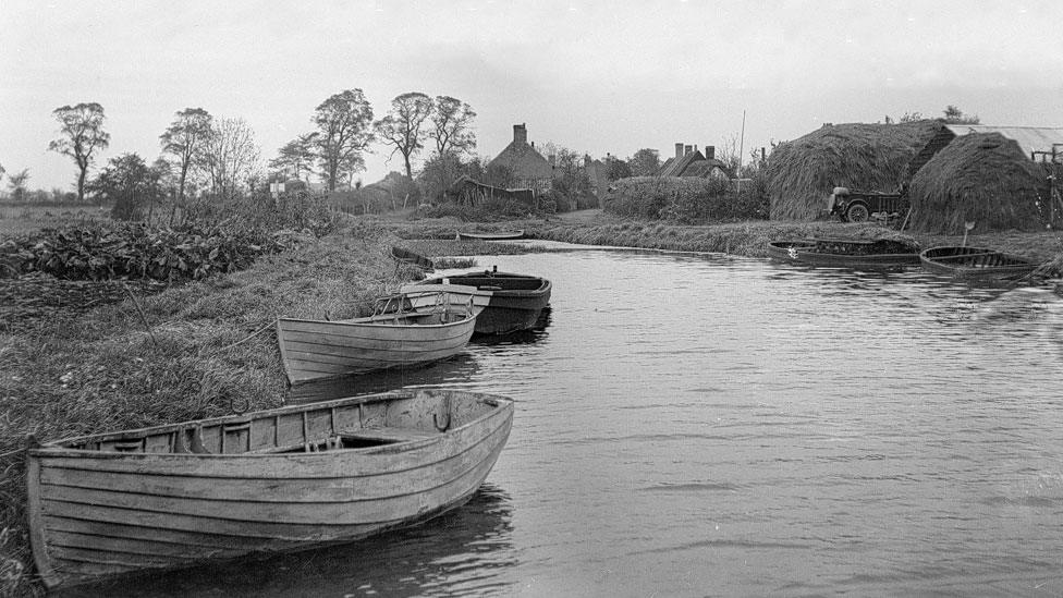 Wicken Fen about a century ago