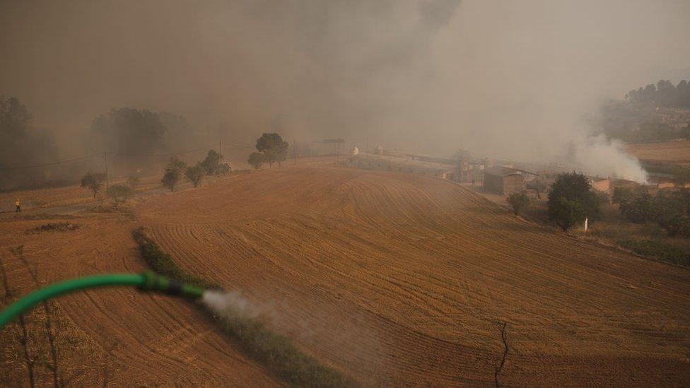 The fire of the Pont of Vilomara (Barcelona) progresses without control and devastates thousand hectares in few hours, on July 17, 2022 in Barcelona, Spain.