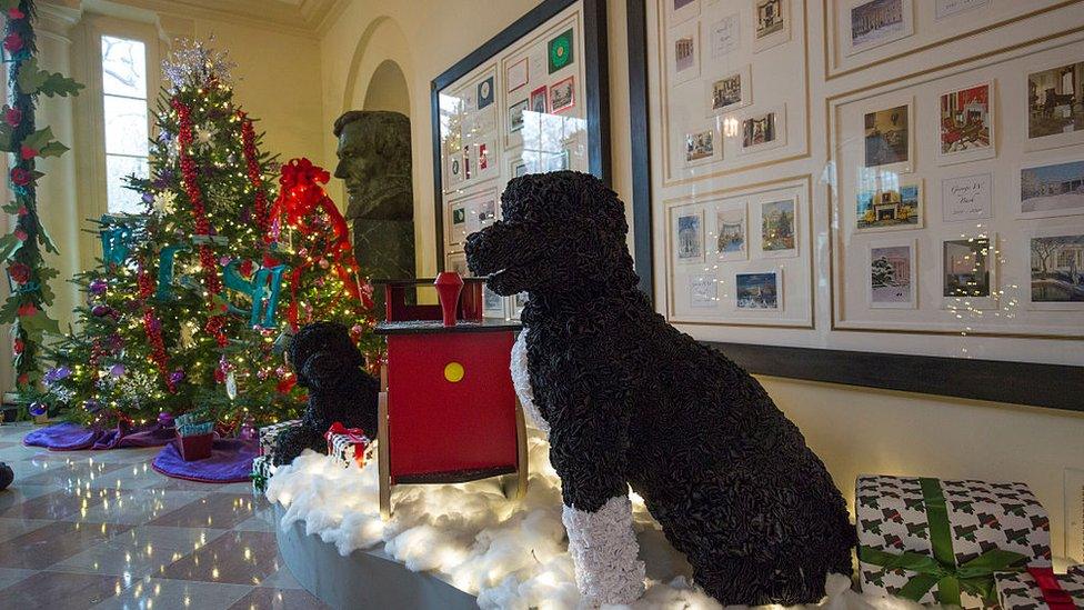 Dog Christmas decorations at the White House