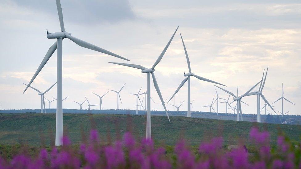 Whitelee Windfarm