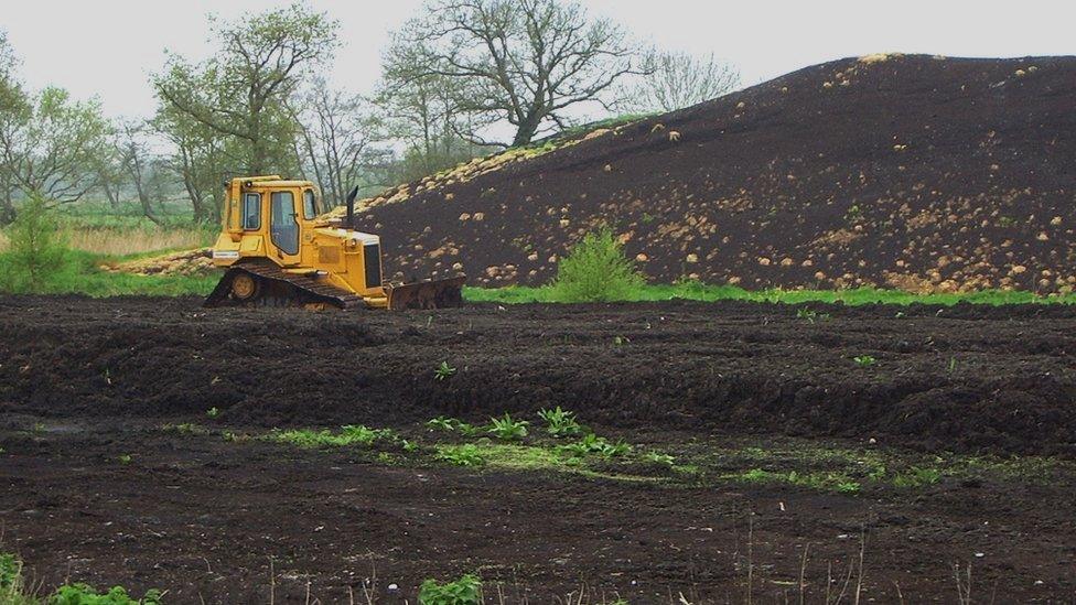 Peat digging