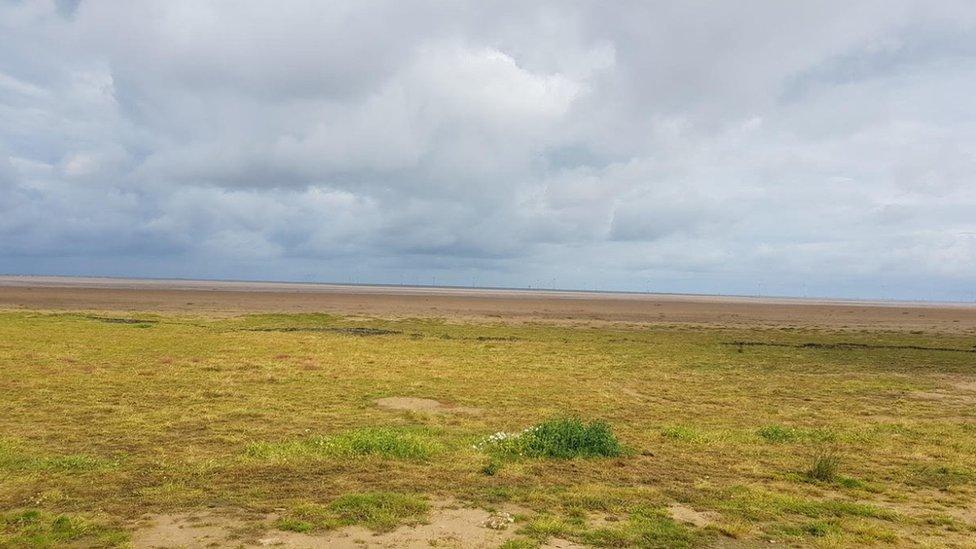 Beach covered in grass